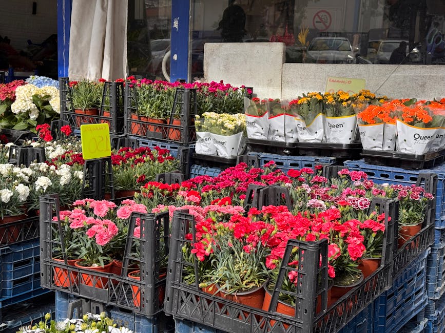 A display of vibrant potted carnations and other flowering plants arranged outdoors at a flower shop, with pink, red, white, orange, and yellow blooms in terracotta pots and white paper wrappers, show